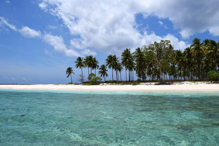 Forgotten Islands | Copyright © Cruising Indonesia | Especialistas en Viajes y Cruceros de Buceo