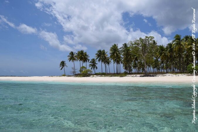 Buceo en las Islas Olvidadas de Indonesia. © Photo: Cruising Indonesia. Todos los derechos reservados