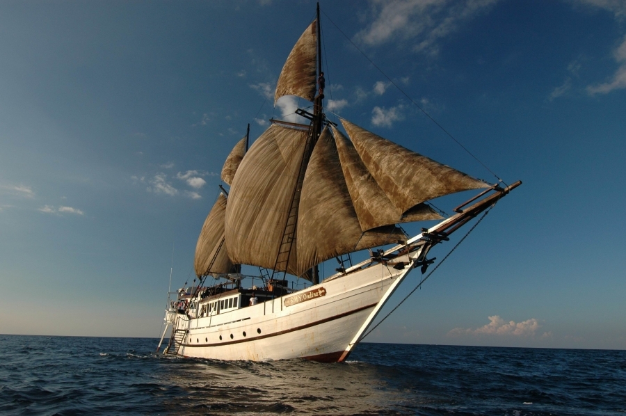 Ondina Liveaboard | Cruising Indonesia | Los Especialistas en Viajes y Cruceros de Buceo