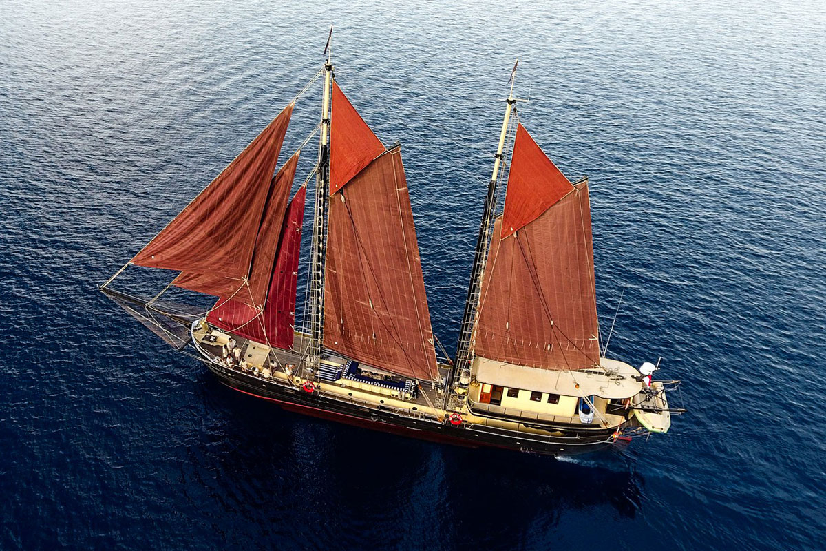 Adelaar Liveaboard | Cruising Indonesia | Los Especialistas en Viajes y Cruceros de Buceo