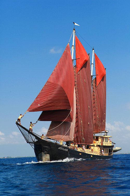 cruises for scuba divers in Komodo Indonesia