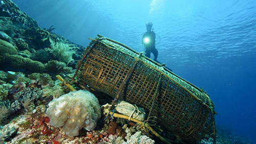 Banda Sea Last Minute Liveaboard Deals cruises for scuba divers in Banda Sea Indonesia