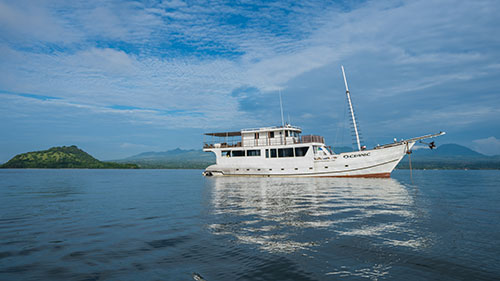 Banda Sea Last Minute Liveaboard Deals cruises for scuba divers in Banda Sea Indonesia