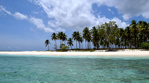 Banda Sea Last Minute Liveaboard Deals cruises for scuba divers in Banda Sea Indonesia