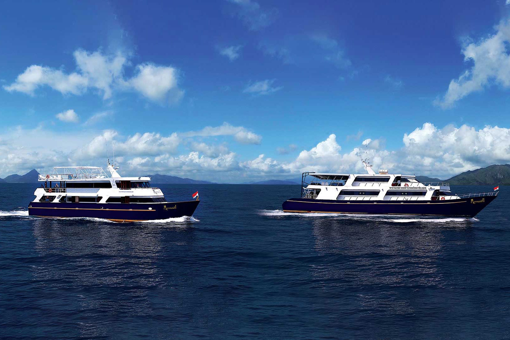 Mermaid I & Mermaid II Liveaboards | Cruising Indonesia | The Liveaboard and Dive Specialists