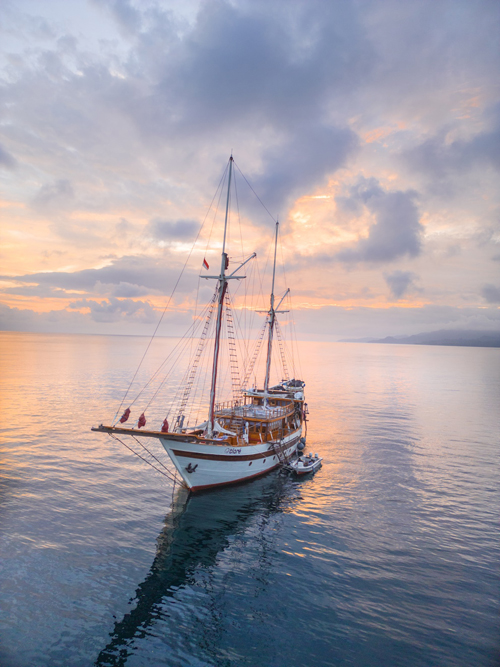 Dive trip deals 2024 Liveaboard diving and snorkeling