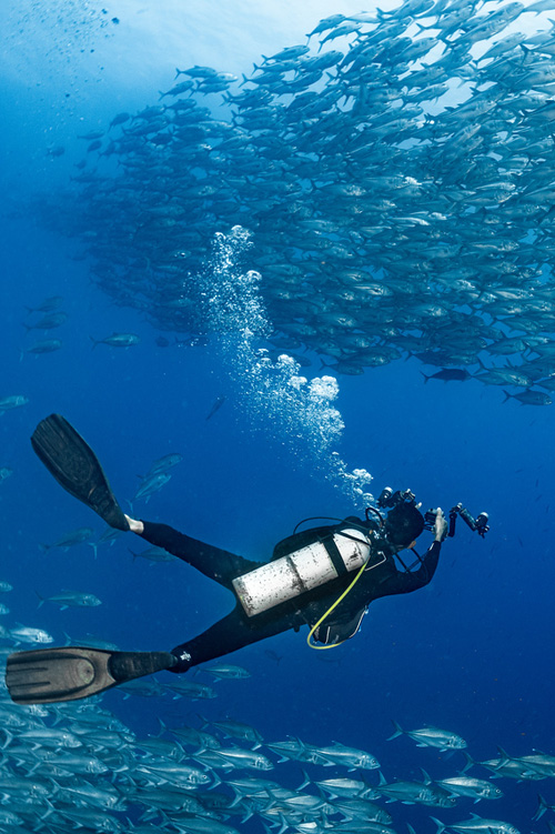 Dive trip deals 2024 Liveaboard diving and snorkeling