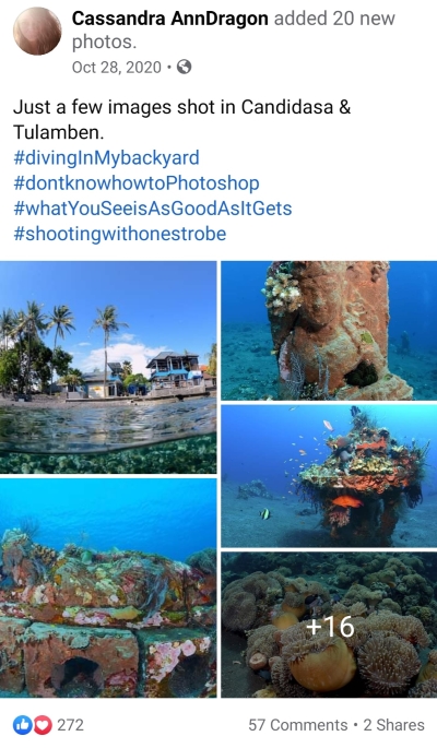 Bali underwater images by Cassandra Dragon