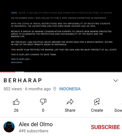 Indonesia underwater images