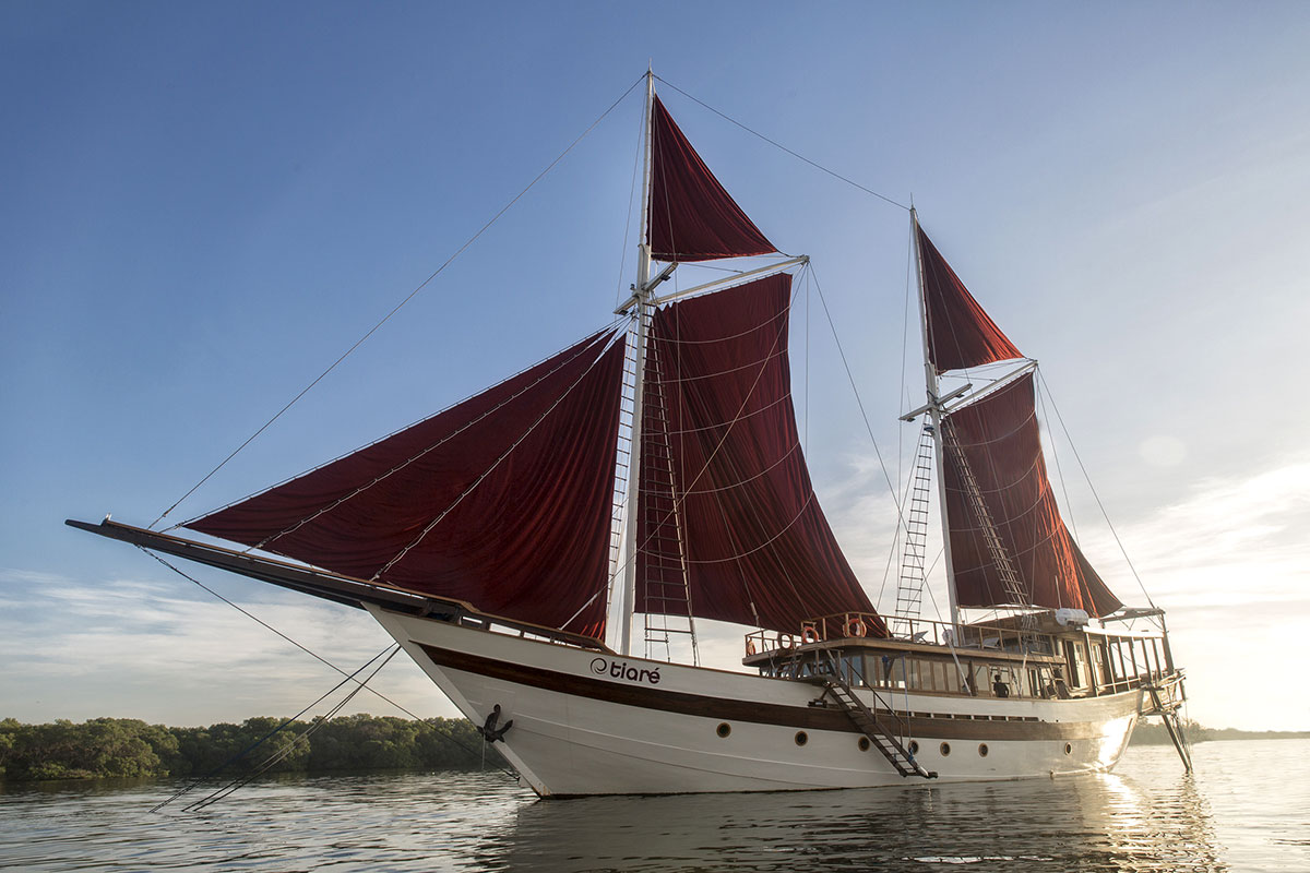 Here you can find the most serious and professional yachts of the diving industry and book your trip according your personal exigencies with the advice of a single Liveaboard Specialist from the beginning of your enquiries to the completion of your reservation, who also will be your single reference throughout all your trip.