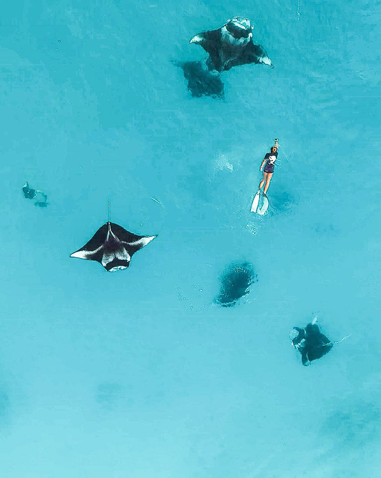 Discover more non-diver activities