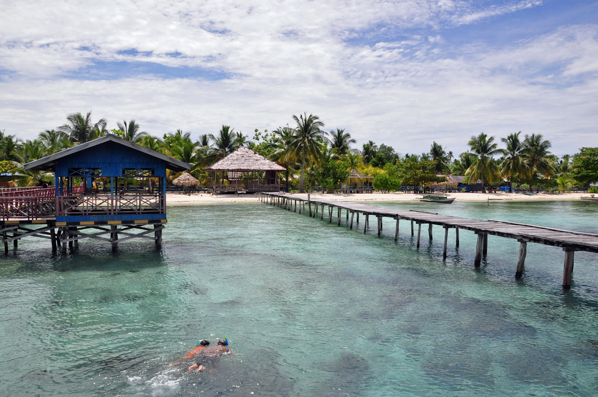 Guests of a liveaboard snorkeling in Arborek Village jetty