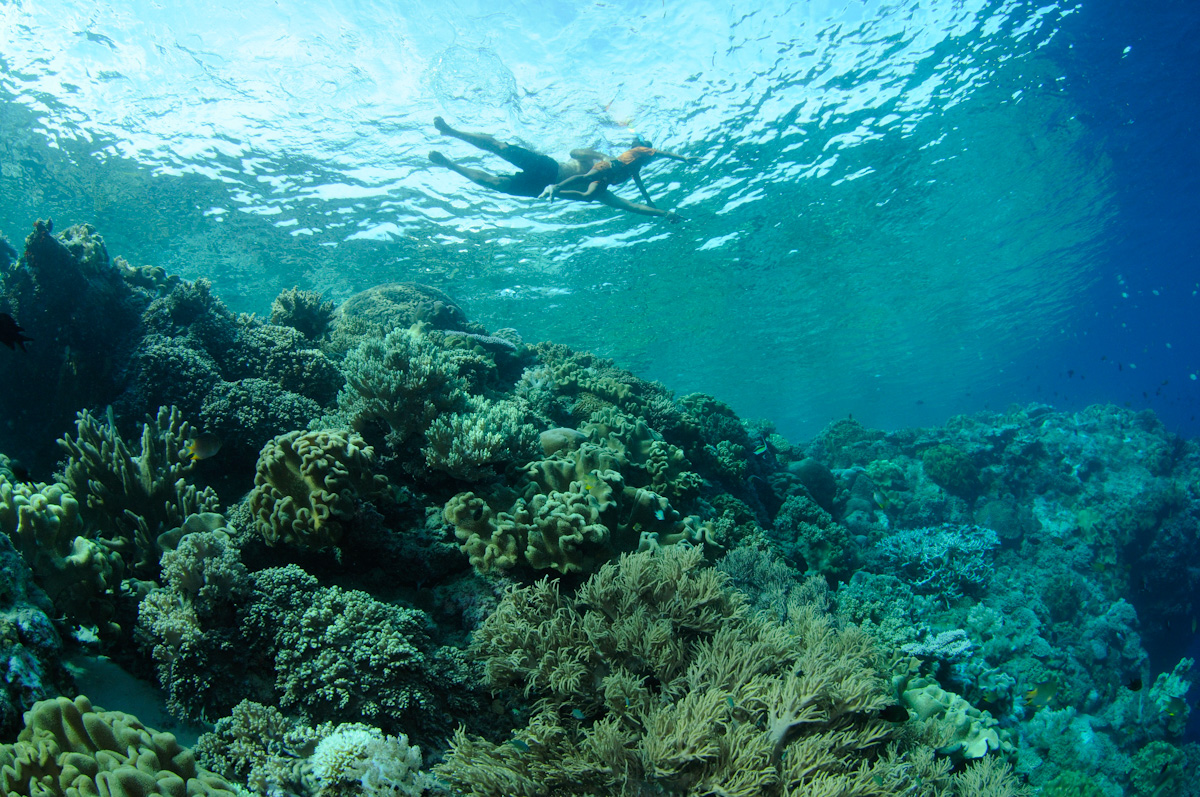 Reefs of Arborek