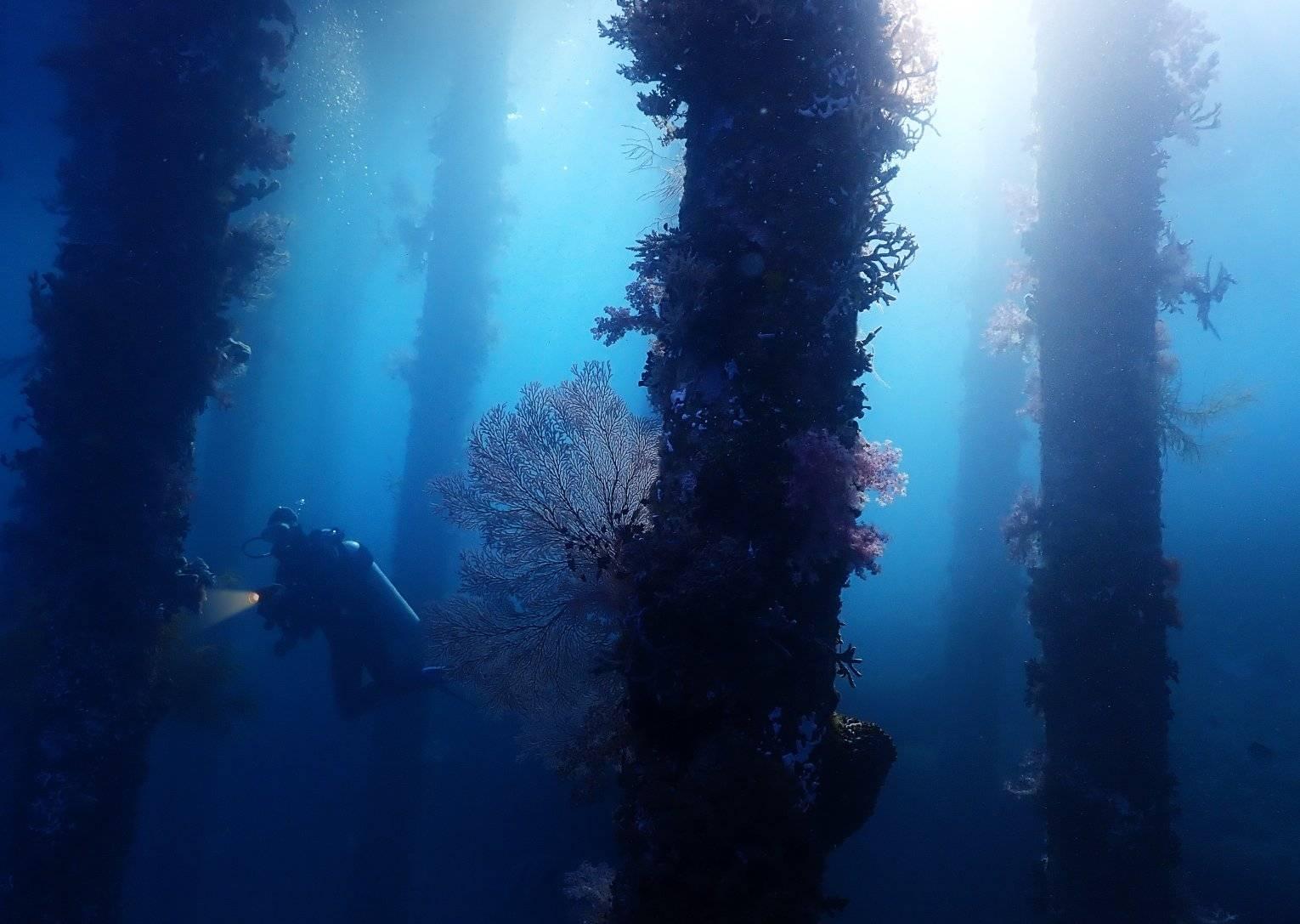 Scuba diving at Alor Divers Resort
