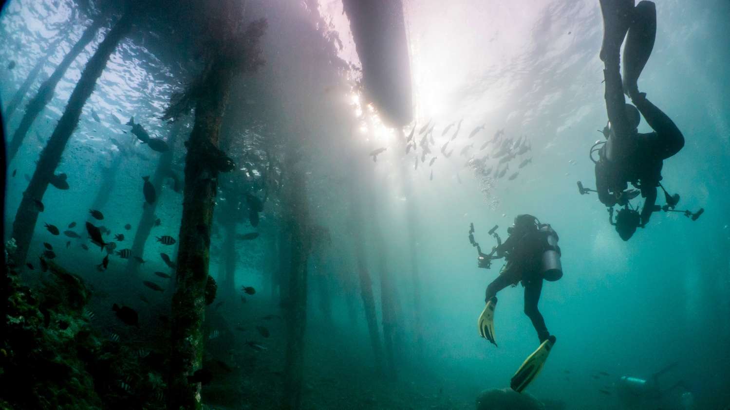 Ambai Liveaboard diving in Raja Ampat
