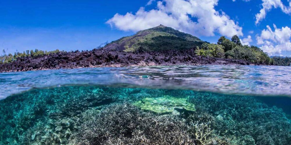 Cruceros de buceo vida a bordo en Halmahera