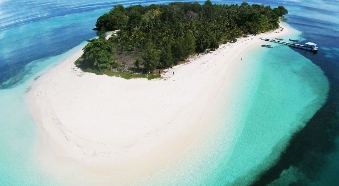 Ambai Liveaboard scuba diving in Halmahera
