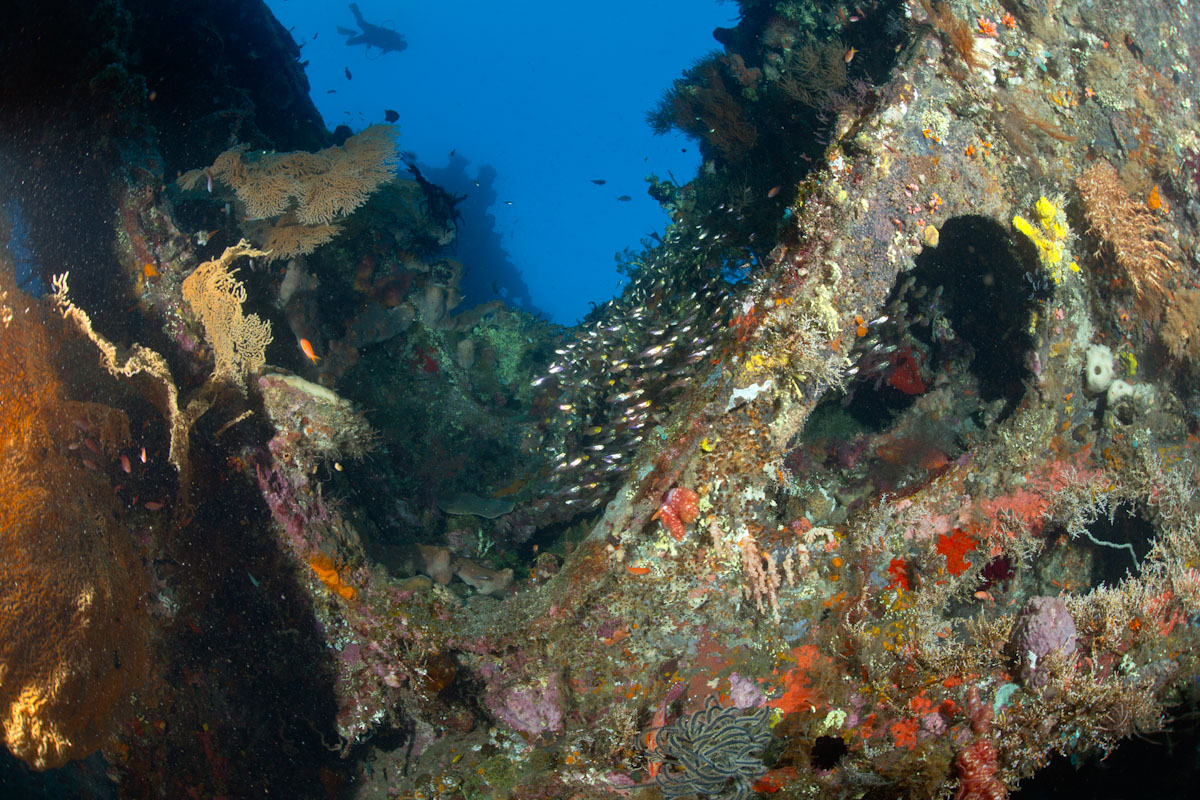 Shipwreck dive site in Bali