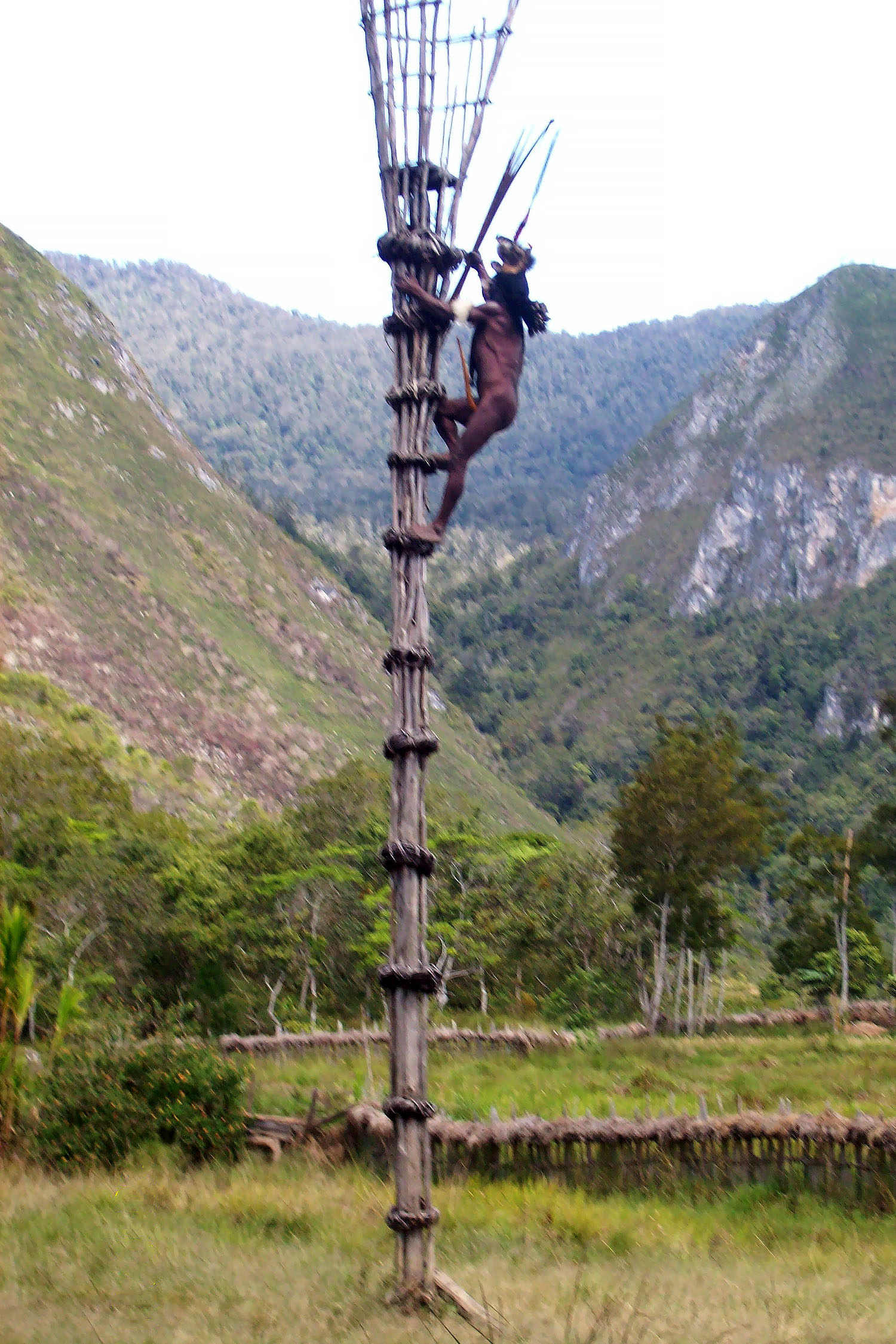 Male warrior climbing to the tower in Baliem Valley
