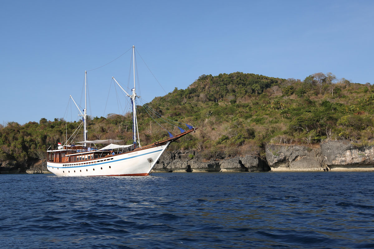 Samambaia Liveaboard in Banda Sea
