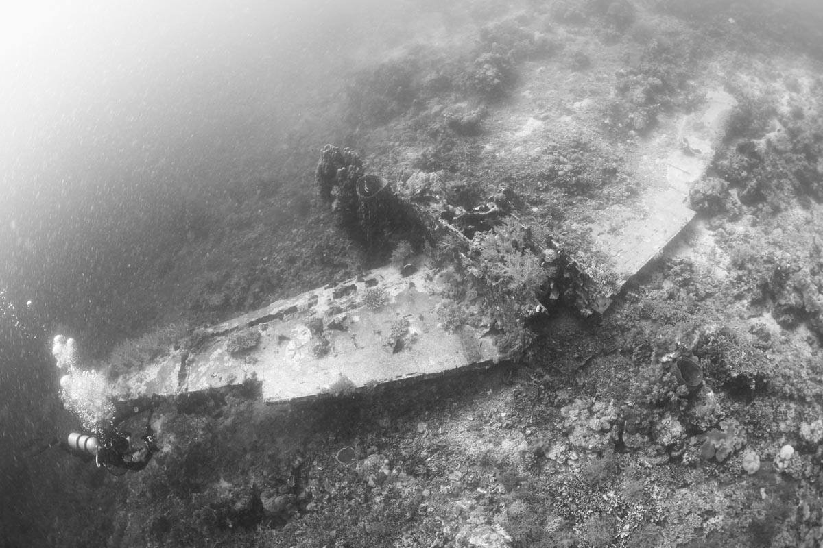 Zero WW2 plane wreckage and diver in Cenderawasih Bay