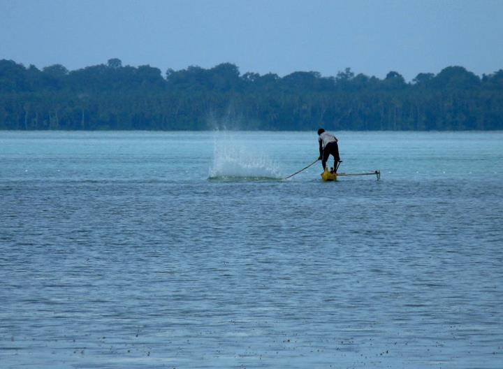 Traditional fishing in Cenderawasih