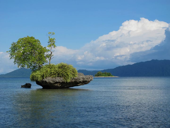 Landscape of Cenderawasih Bay