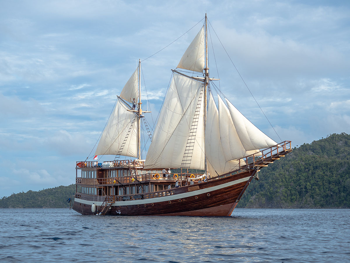 Coralia Liveaboard dive cruises in Forgotten Islands