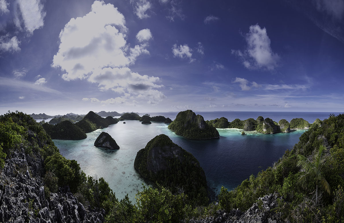 Coralia Liveaboard dive cruises in Indonesia