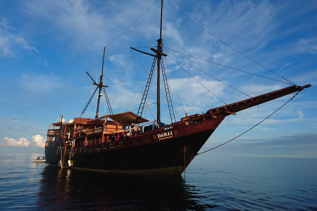 Dive cruises in Indonesia with Damai 1