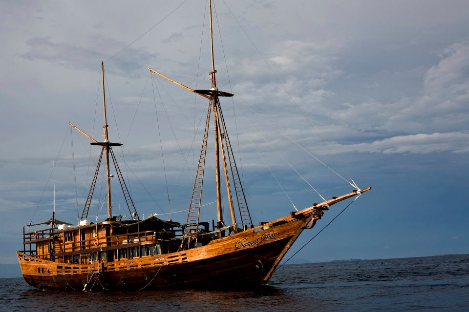 Dive cruises in Indonesia with Damai 2