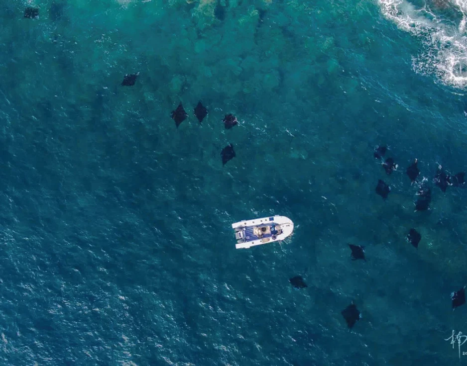 Dive cruises in Indonesia with Damai 2
