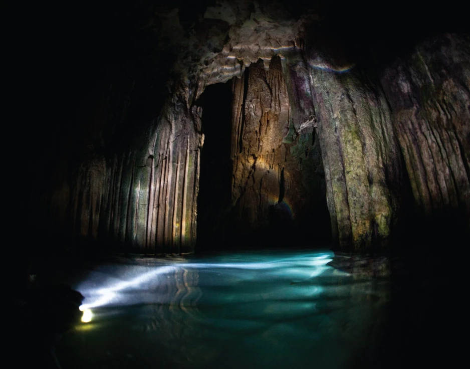 Dive cruises in Indonesia with Damai 1