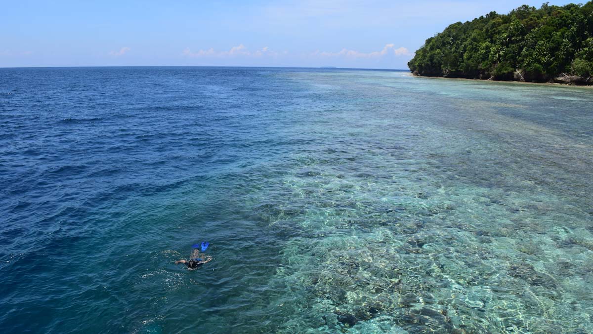 Snorkeling at Kakaban Island steep wall