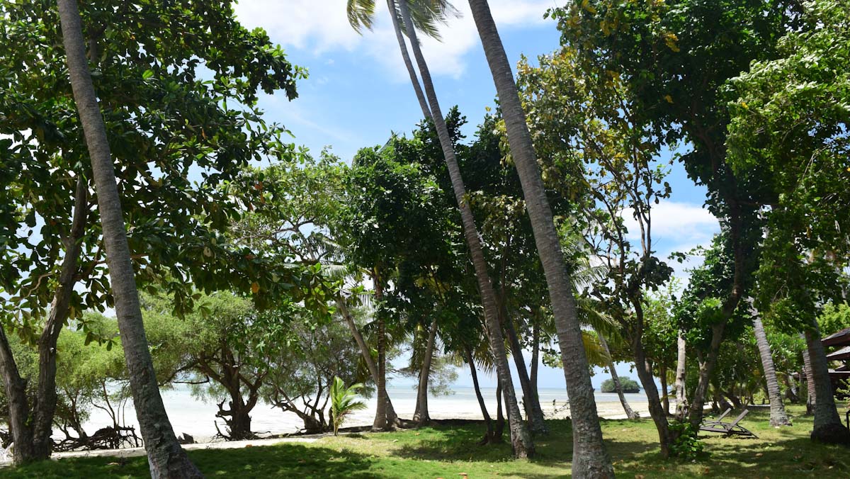 Virgin Cocoa Island diving facilities