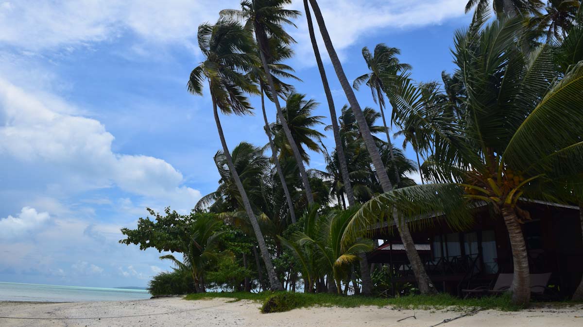 Virgin Cocoa Island diving resort