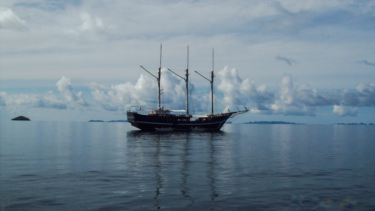 Dive cruises in Indonesia with Dewi Nusantara