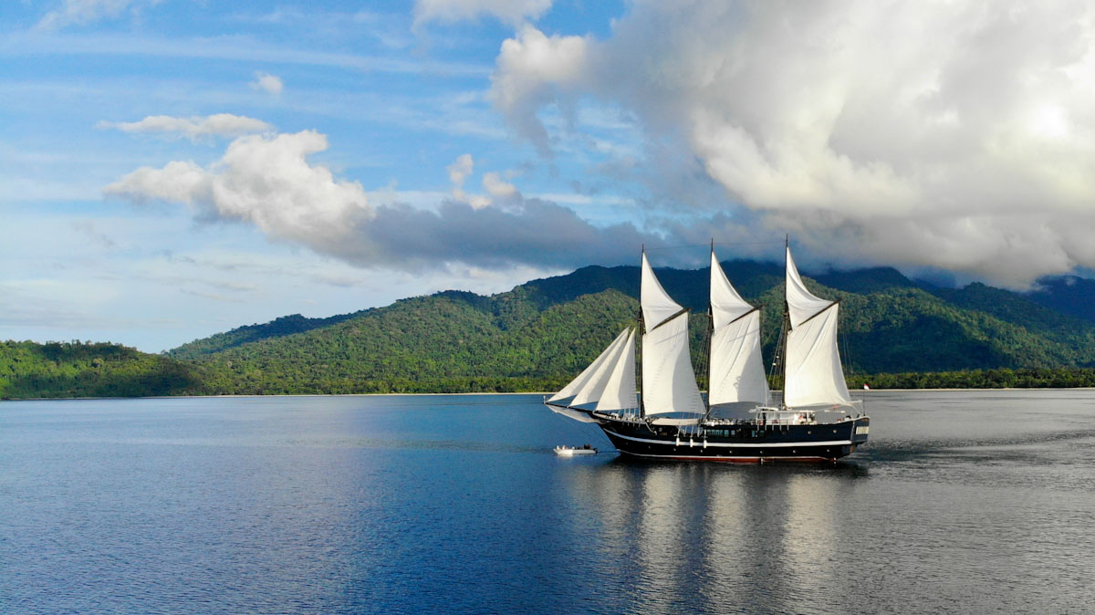 Dive cruises in Indonesia with Dewi Nusantara