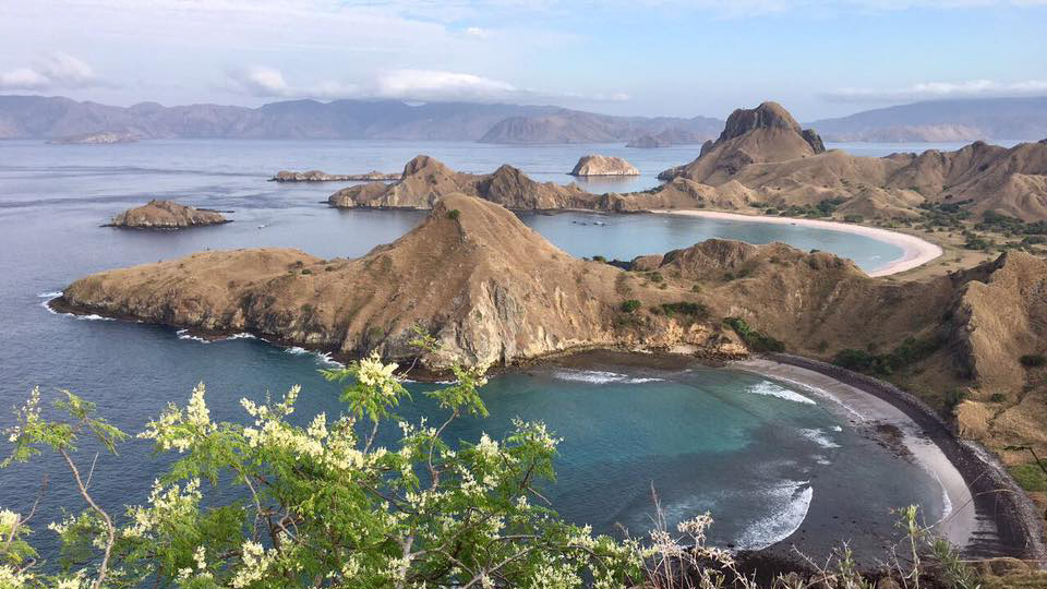Dive cruises in Indonesia with Dewi Nusantara