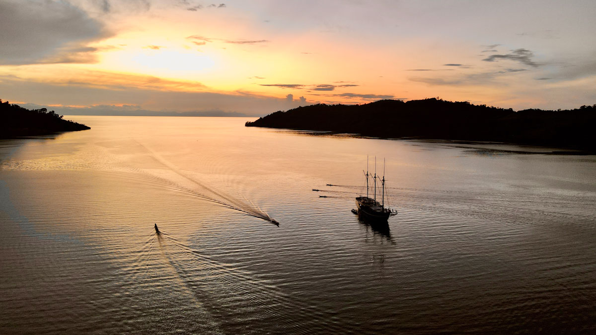 Dive cruises in Indonesia with Dewi Nusantara