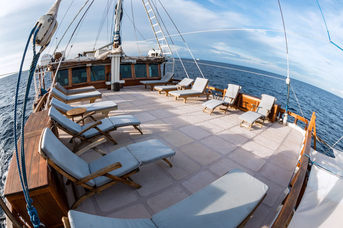 Dune Aurora dive cruises in Indonesia
