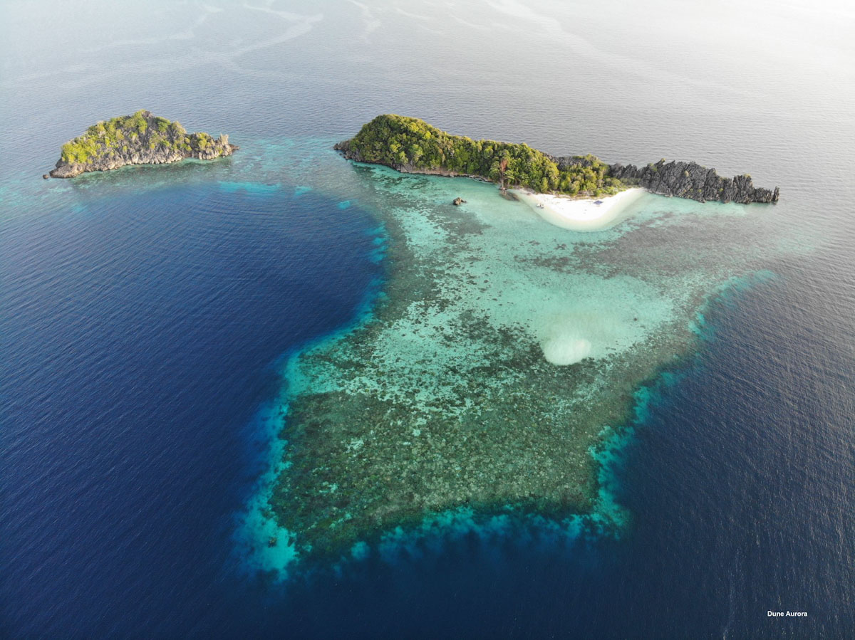 Dune Aurora dive cruises in Raja Ampat
