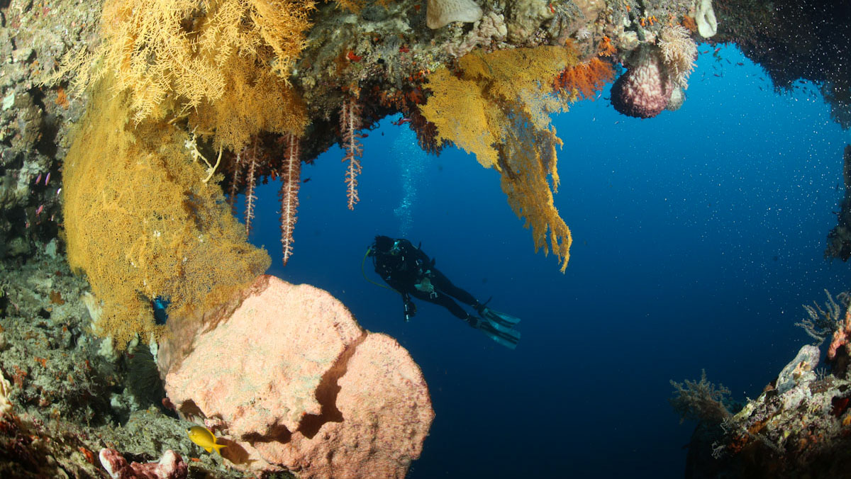 Marine wall of Forgotten Islands in Banda Sea, Indonesia