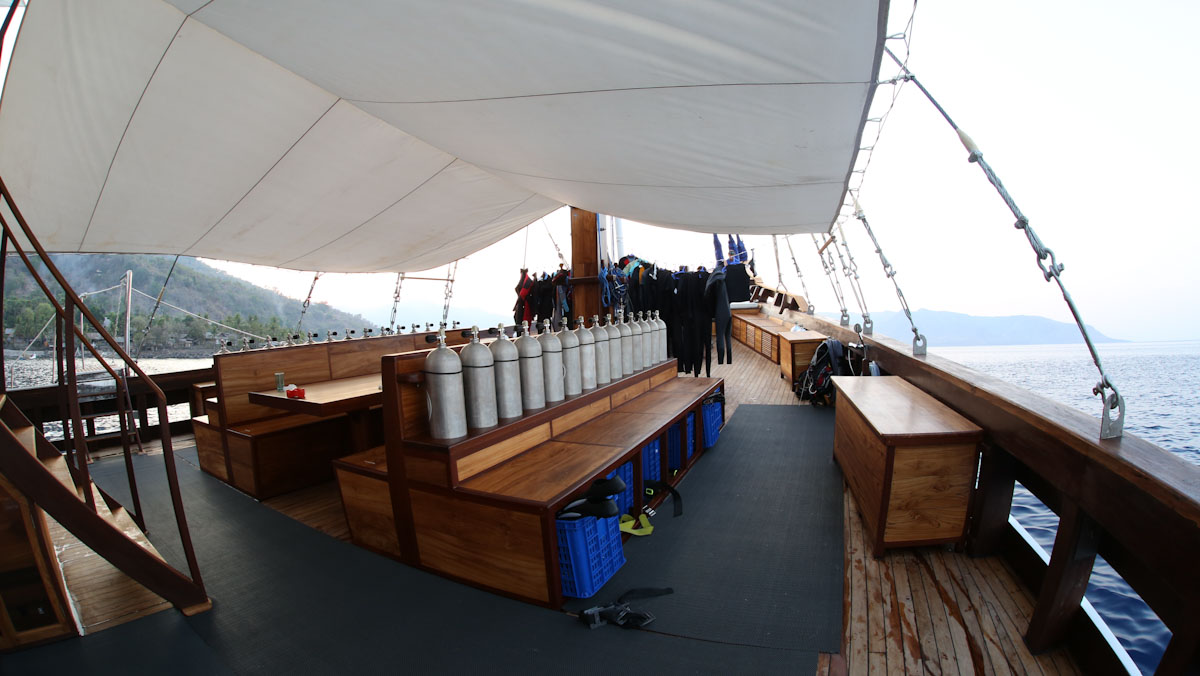 Liveaboard cruises for divers in Forgotten Islands