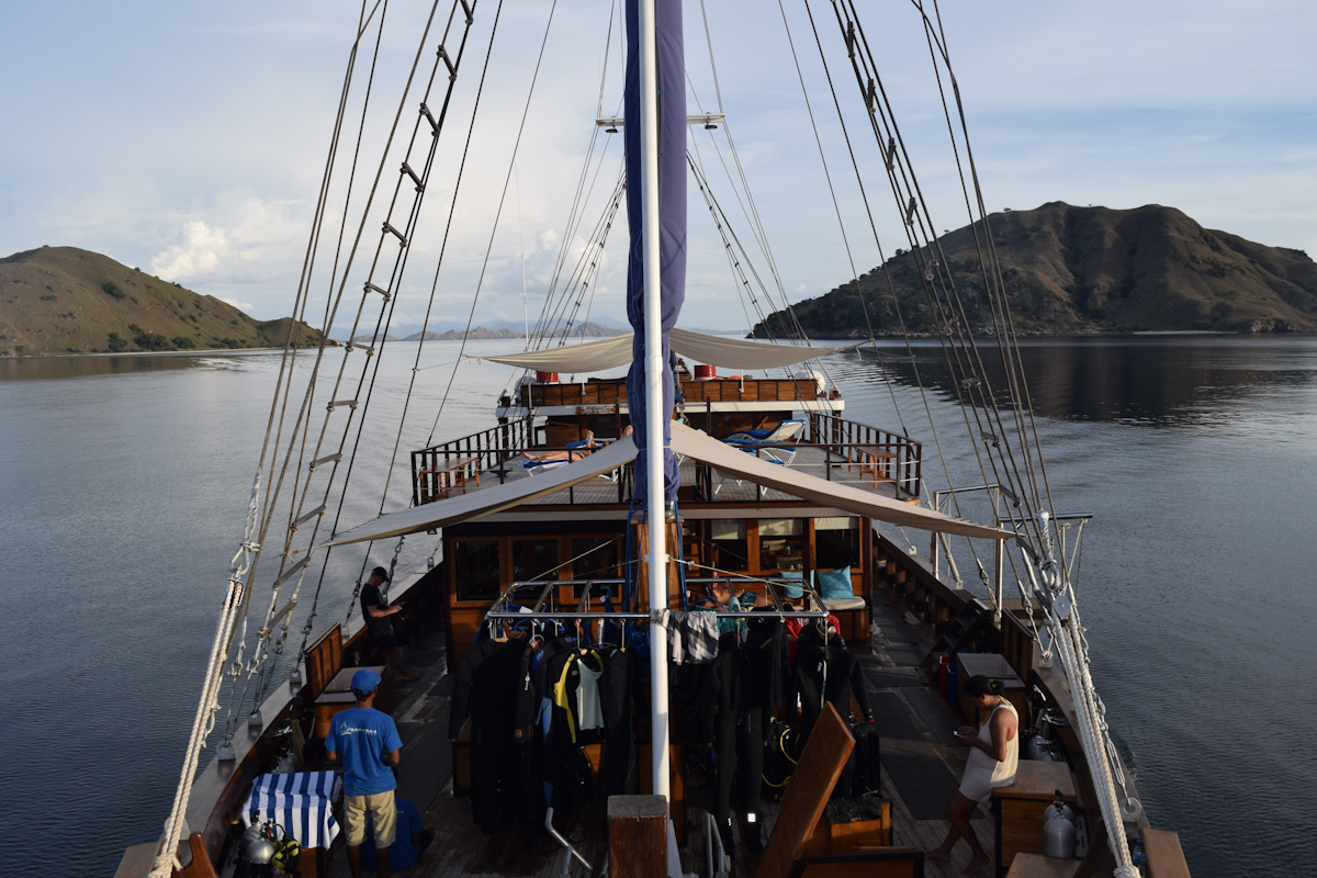 Samambaia Liveaboard in Komodo Nusatenggara