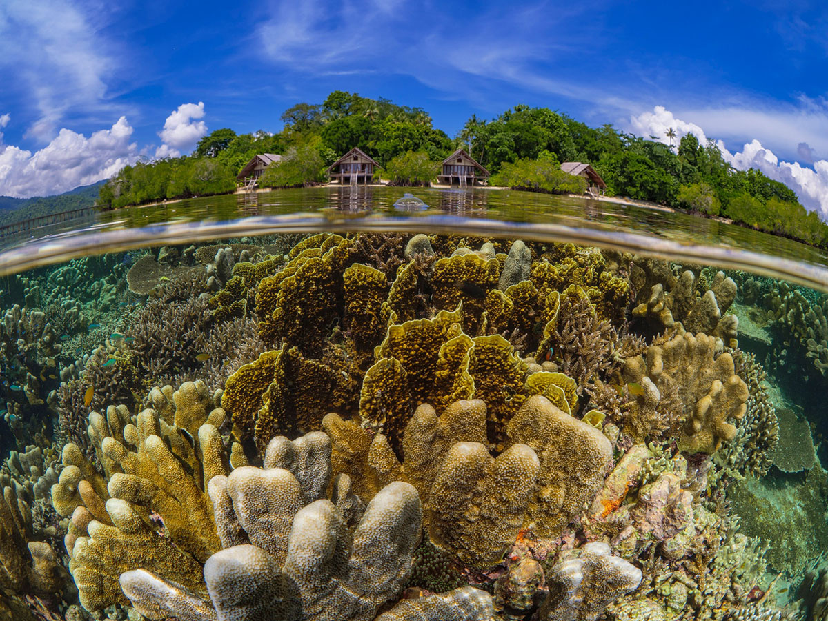 Kusu Resort is a secluded dive resort in Indonesia
