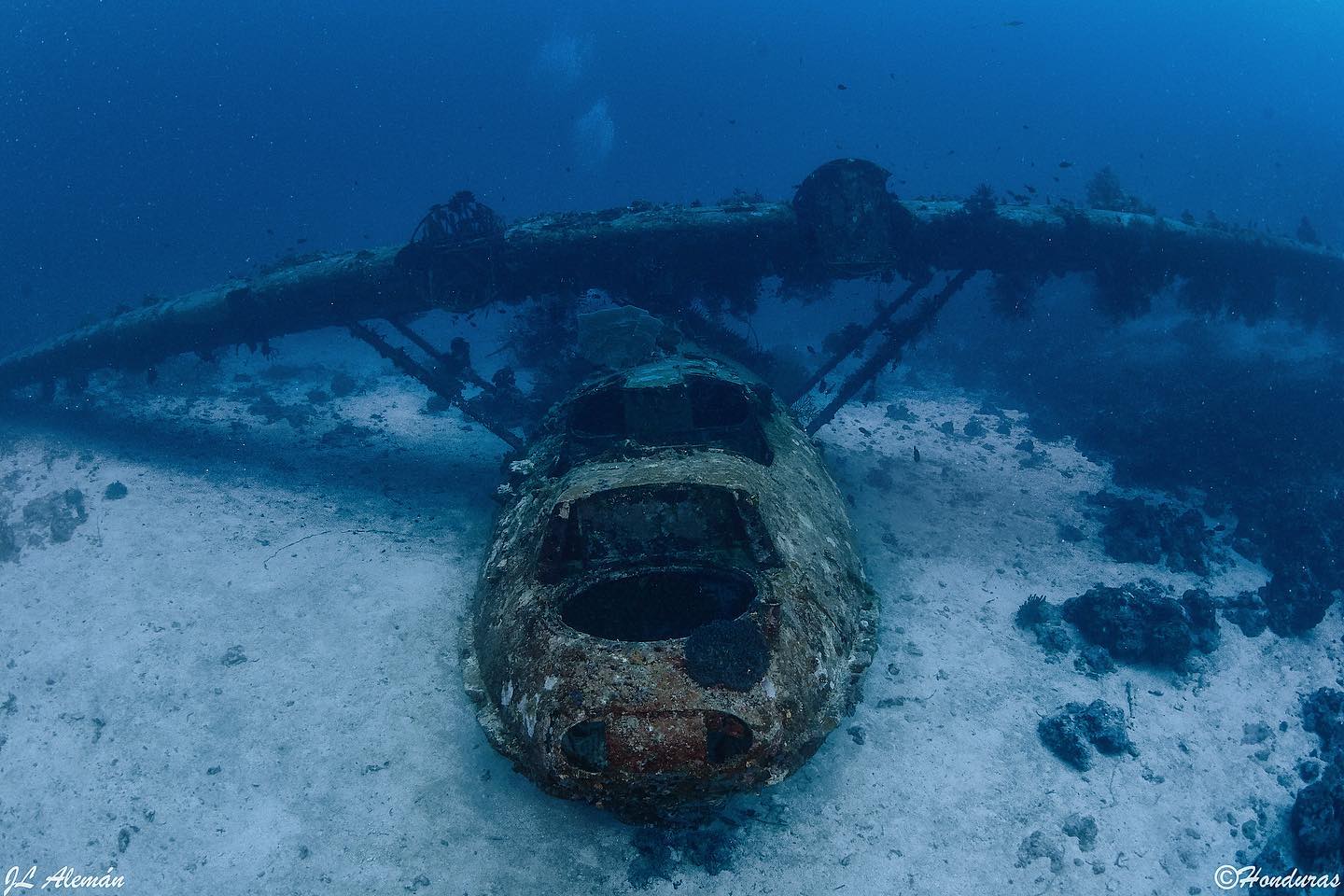 Dive cruises in West Papua with Ondina 