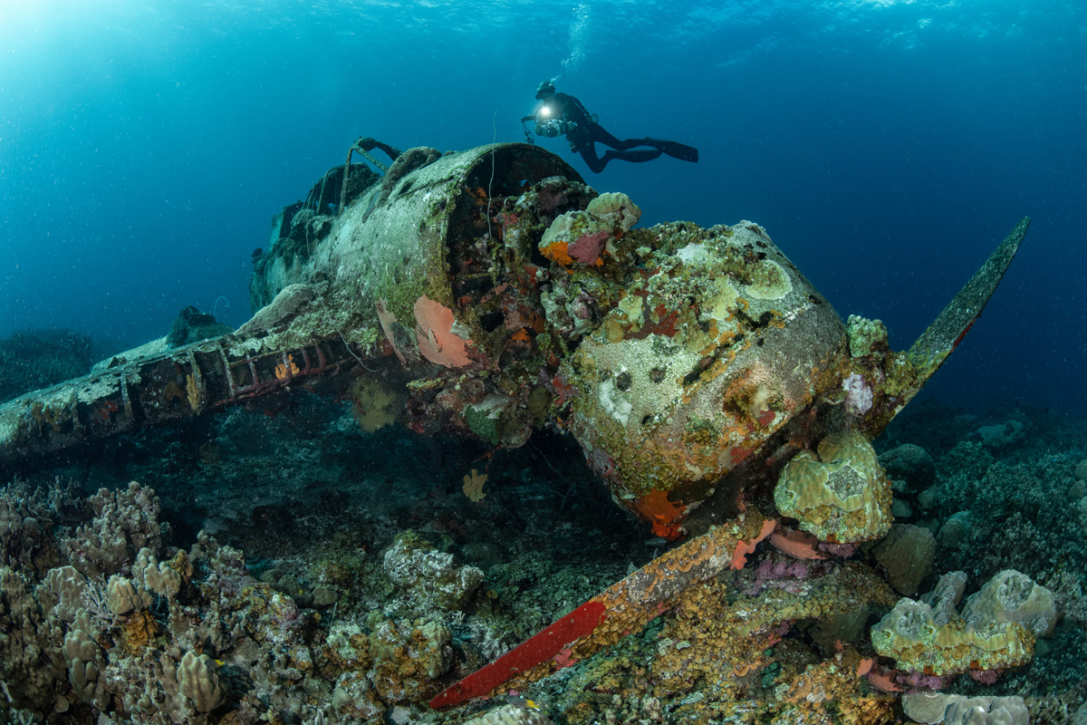 Diver and WWII wreck in Palau
