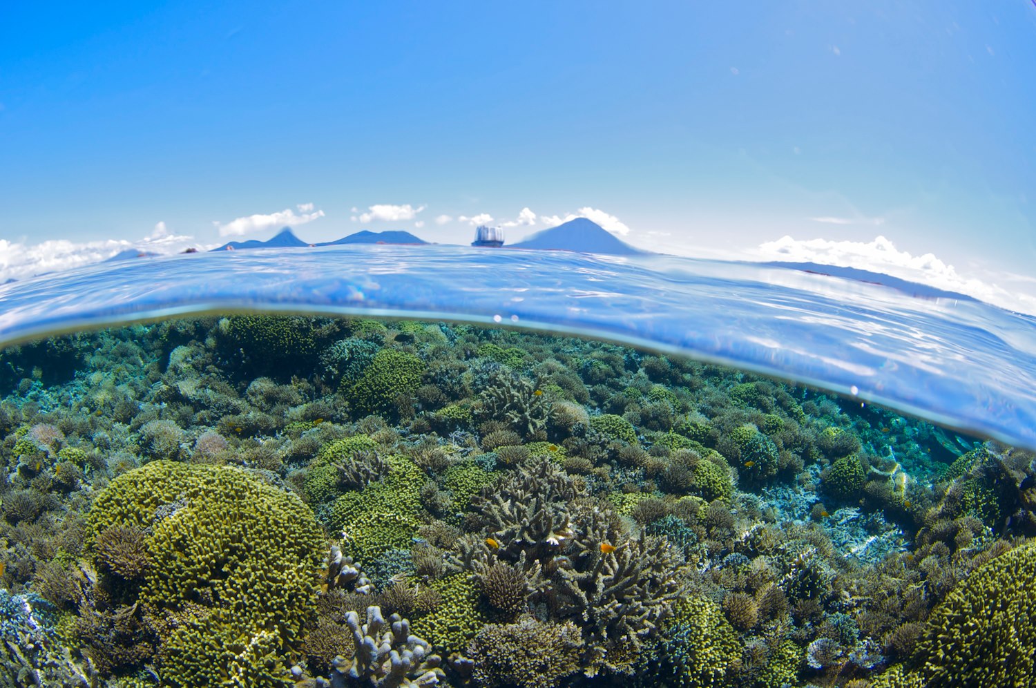 Febrina Liveaboard diving in Papua New Guinea
