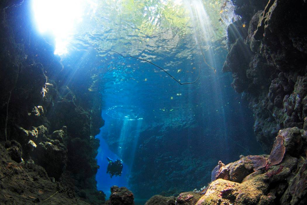 Tawali Resort diving in Papua New Guinea
